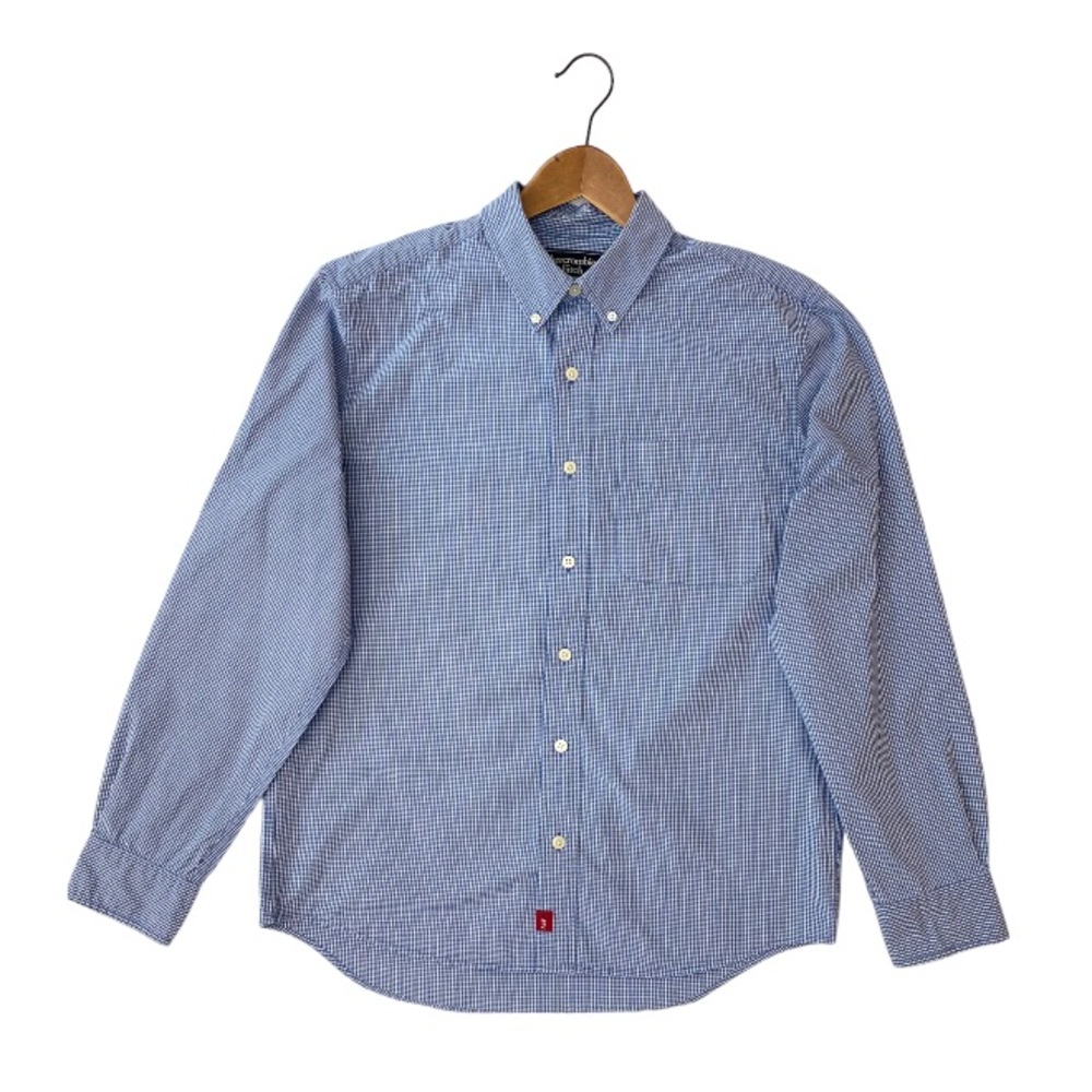Abercrombie & Fitch Blue Gingham Button-Down Dress Shirt
